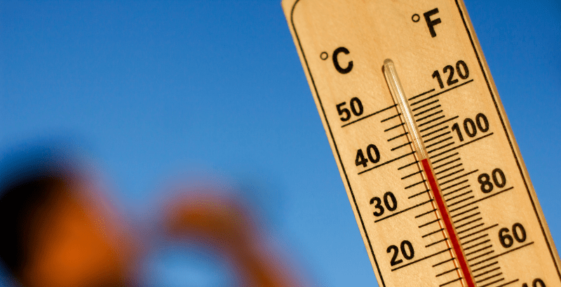 Visuels articles site (1)